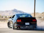 Ford Mustang RTR 2015 года